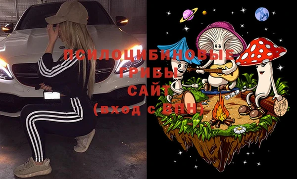 Альфа ПВП Магас
