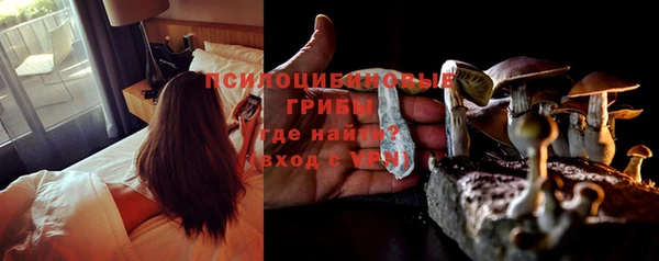 Альфа ПВП Магас