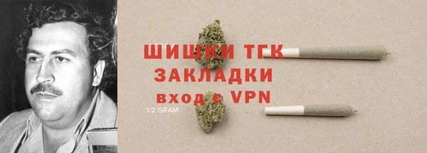 твердый Лагань